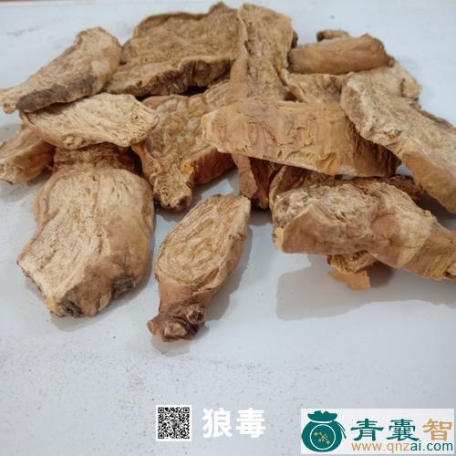 奚毒的性状性味归经以及功效用法和注意事项-青囊智