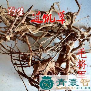 小将军的性状性味归经以及功效用法和注意事项-青囊智