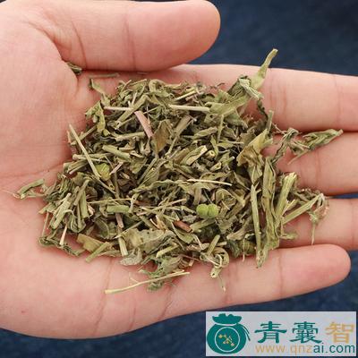 小透骨草的性状性味归经以及功效用法-青囊智