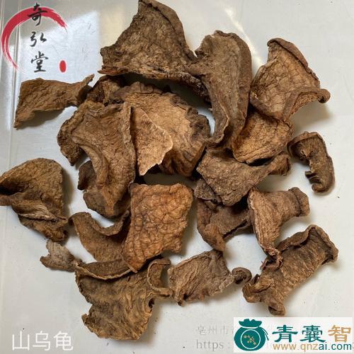 山乌电的性味归经以及功效用法和注意事项-青囊智