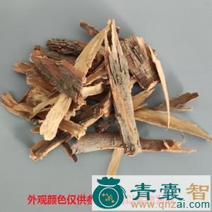 山有皮的性味归经以及功效用法和注意事项-青囊智