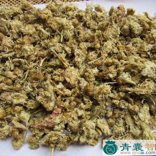 岁菊的性状性味归经以及功效用法-青囊智