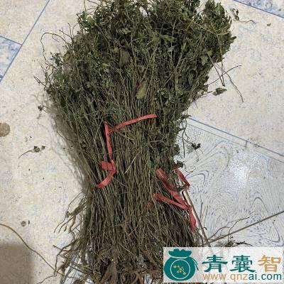 岩胡的性状性味归经以及功效用法-青囊智