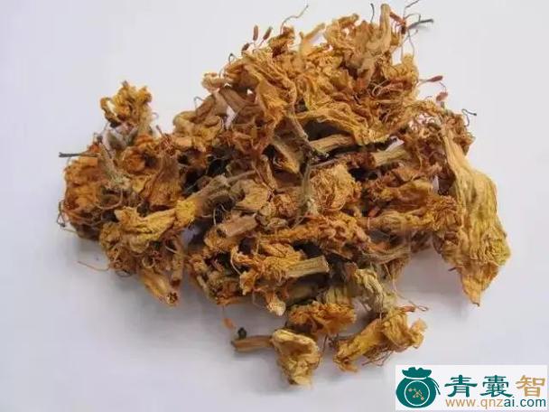 广东闹羊花的性状性味归经以及功效用法和注意事项-青囊智