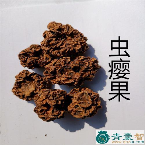 打虫果的性状性味归经以及功效用法-青囊智