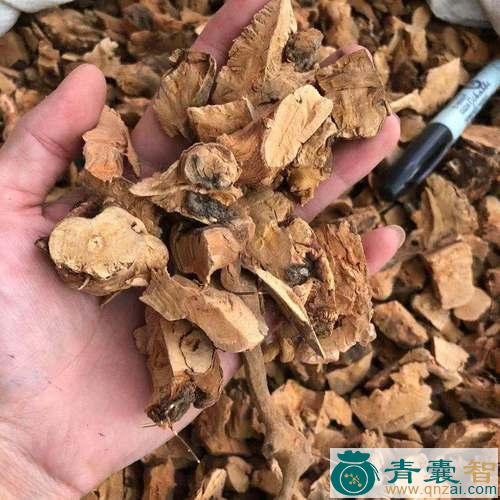 暗山香的性状性味归经以及功效用法-青囊智