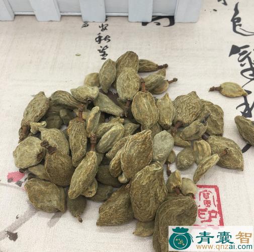 桃枭的性状性味归经以及功效用法-青囊智