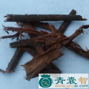 桃树根、茎、树皮的性味归经以及功效用法和注意事项-青囊智