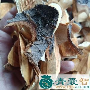 樱桃根的性味归经以及功效用法-青囊智