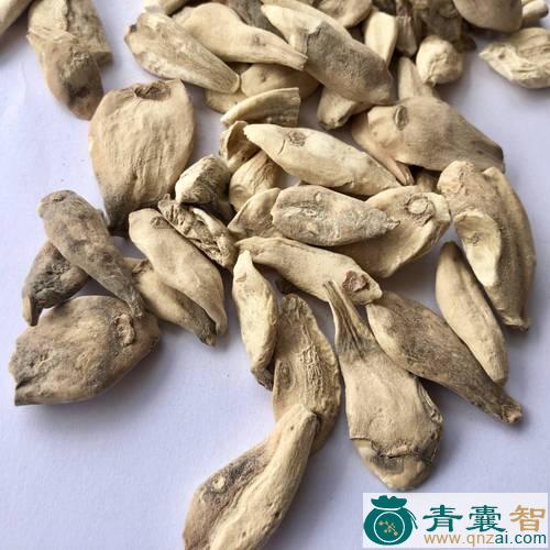 水仙子的性状性味归经以及功效用法和注意事项-青囊智