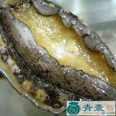 海鹞鱼的性味归经以及功效用法-青囊智