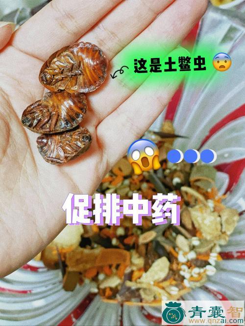 滑虫的性状性味归经以及功效用法和注意事项-青囊智