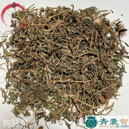 狗核莲的性状性味归经以及功效用法-青囊智