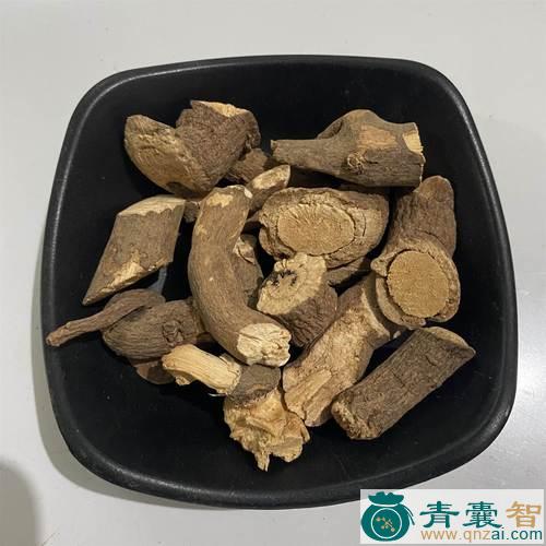 独行千里的性状性味归经以及功效用法-青囊智