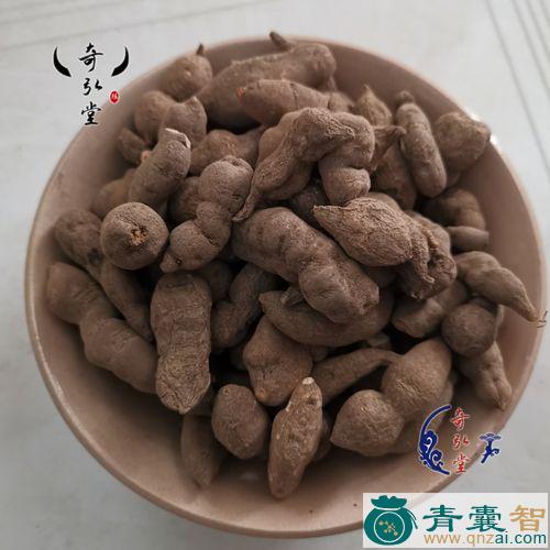 猴娃子的性状性味归经以及功效用法-青囊智