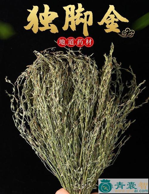 病疳草的性状性味归经以及功效用法和注意事项-青囊智