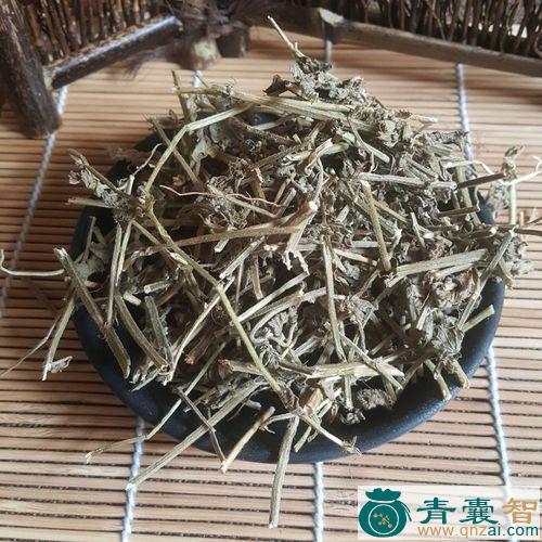 白绒草的性味归经以及功效用法-青囊智