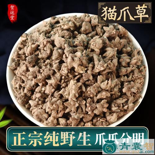 笔猫的性状性味归经以及功效用法-青囊智