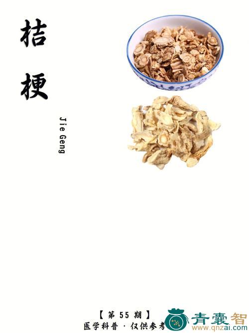 篱鷃的性味归经以及功效用法-青囊智