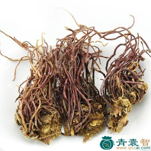 紫菀千花的性味归经以及功效用法-青囊智