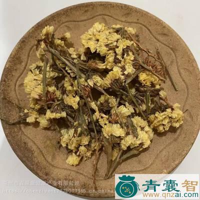 绸春花的性状性味归经以及功效用法和注意事项-青囊智