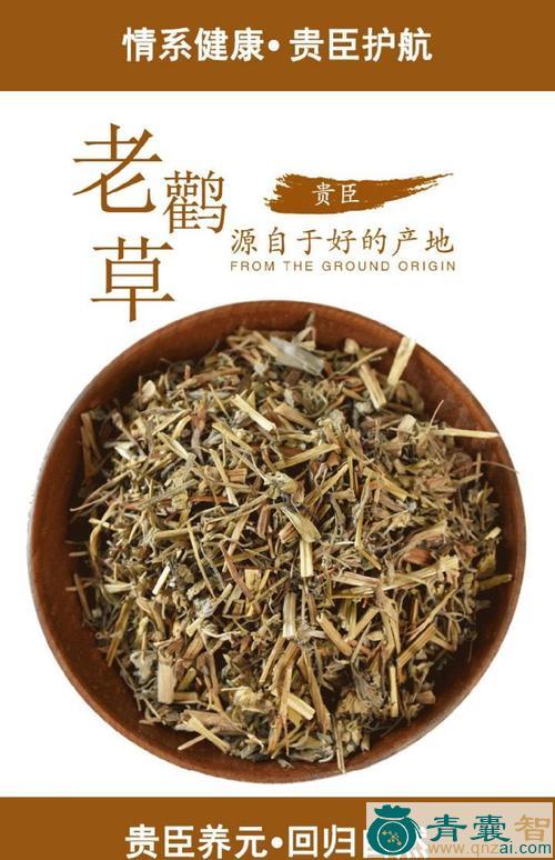 老婆筋的性状性味归经以及功效用法-青囊智