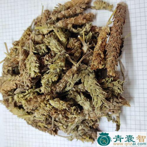 苦球菜的性状性味归经以及功效用法-青囊智