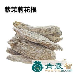 茉莉根的性味归经以及功效用法和注意事项-青囊智