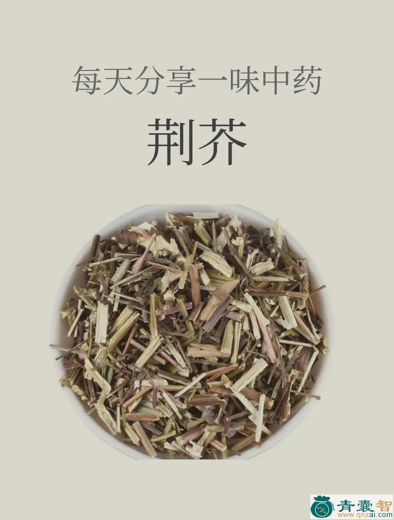 茨芥的性状性味归经以及功效用法和注意事项-青囊智