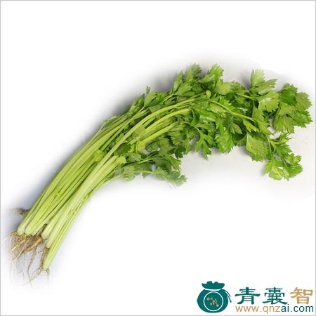 药芹菜的性味归经以及功效用法-青囊智