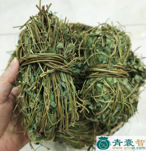 蓇草的性状性味归经以及功效用法-青囊智