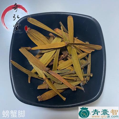 螃蟹脚的性味归经以及功效用法-青囊智