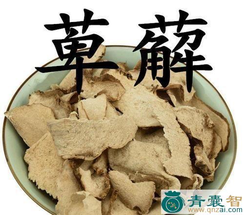 长踦的性状性味归经以及功效用法-青囊智