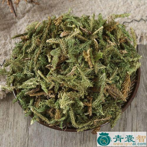 顺经草的性状性味归经以及功效用法和注意事项-青囊智