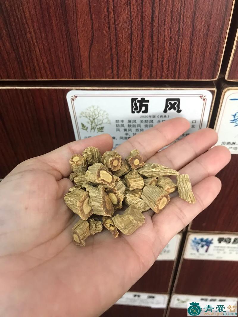 马蹄防风的性状性味归经以及功效用法-青囊智