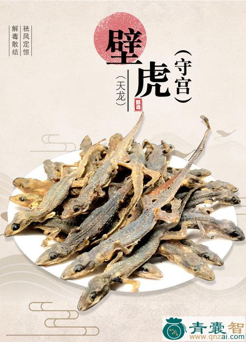 鱼虎的性味归经以及功效用法-青囊智