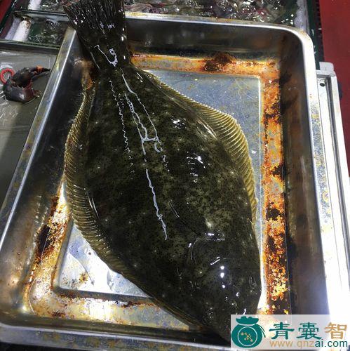 鱼鸦的以及功效用法-青囊智