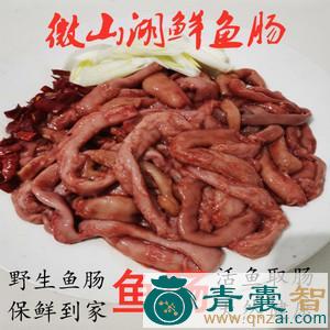 鲤鱼肠的性味归经以及功效用法-青囊智