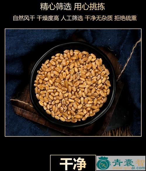 麦甘酣的性味归经以及功效用法和注意事项-青囊智