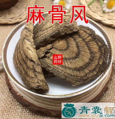 麻疯龙的性状性味归经以及功效用法-青囊智