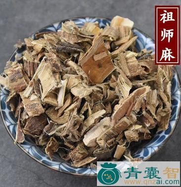 麻笔的性状性味归经以及功效用法-青囊智